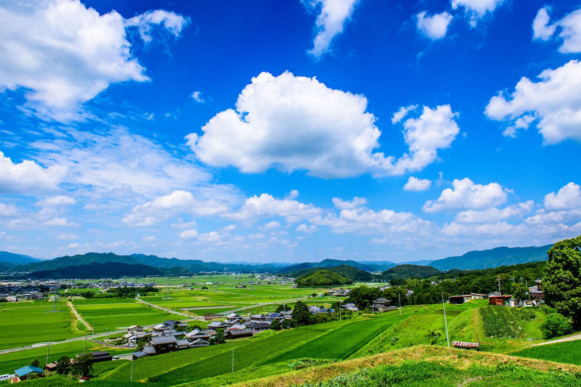 青空